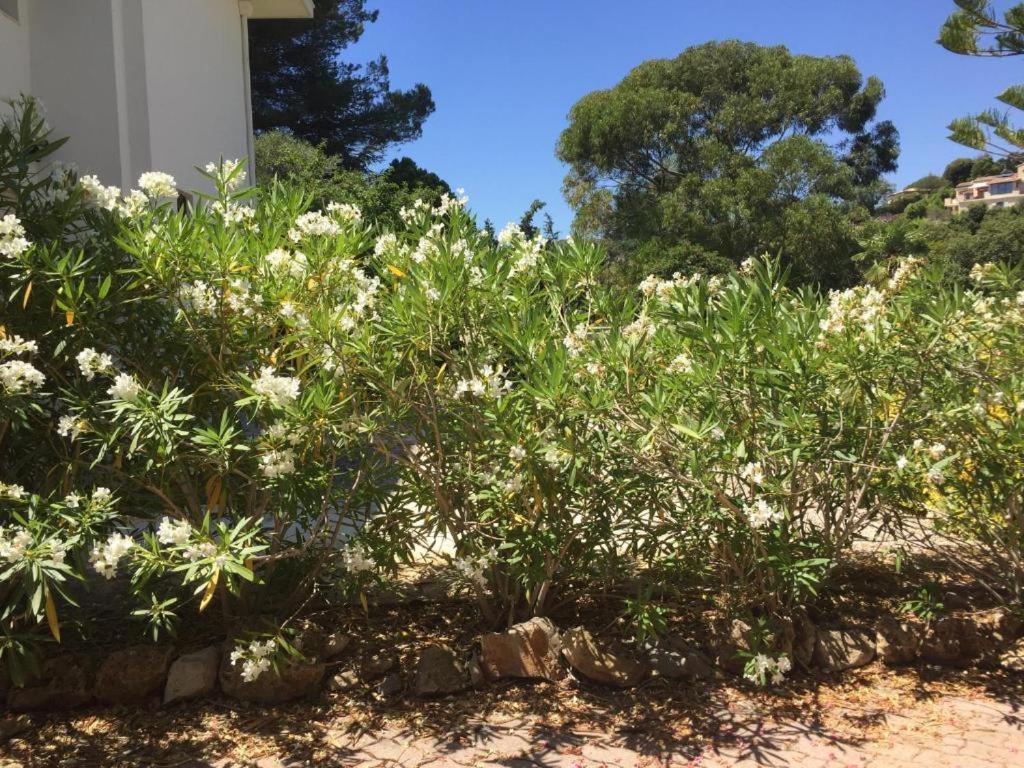 Apartment Independent One Bedroom Antibes